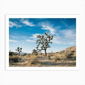 Joshua Tree Art Print