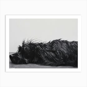 'Dog Laying Down' Art Print