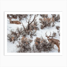 Mule Deer In Sagebrush Art Print