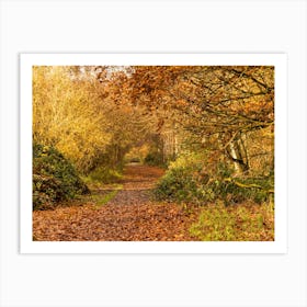 Autumn Lane Art Print