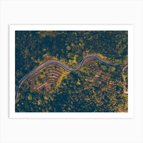 Aerial View Of A Winding Road Art Print