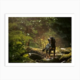 Cocker Spaniel In The Forest- Scotland Highland UK dog photo print - moody animal photography Art Print