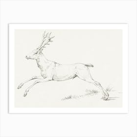 Jumping Deer, Jean Bernard Art Print