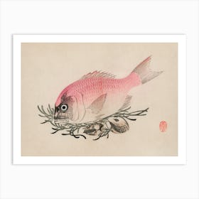 Chinese Fish Art Print