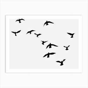 Flock Of Birds Art Print