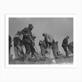 Working On The Levee At Bird S Point, Missouri During The Height Of The Flood By Russell Lee Art Print