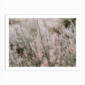 Petite Shrub Flowers Art Print