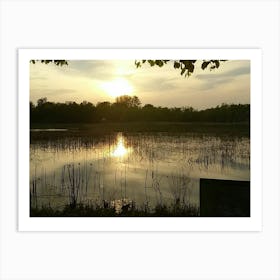 Sunrise Over A Pond Art Print