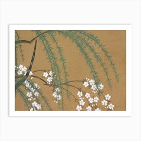Blossoms From Momoyogusa –Flowers Of A Hundred Generations (1909), Kamisaka Sekka Art Print