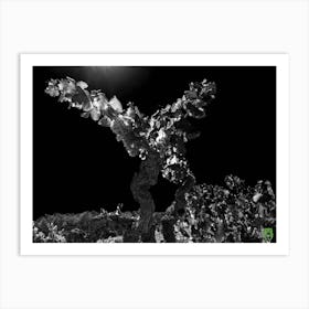 Moonlight In The Vineyard 20230831280rt1pub Art Print