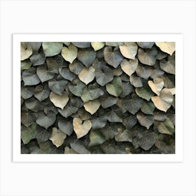 Ivy Wall Art Print