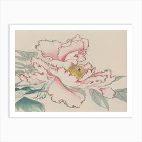 Peony 2 Art Print