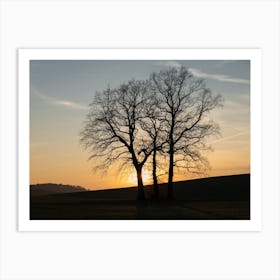 Silhouette of trees at sunset Art Print