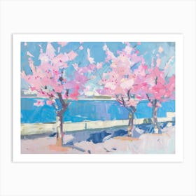 Cherry Blossoms 43 Art Print