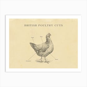 British Poultry Chicken Butcher Cuts Chart Art Print