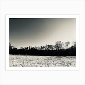 Snowy Field Art Print