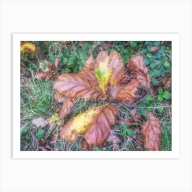 Autumn 1 Art Print