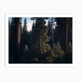 Profound Silence In The Heart Of A Black Pine Forest Art Print