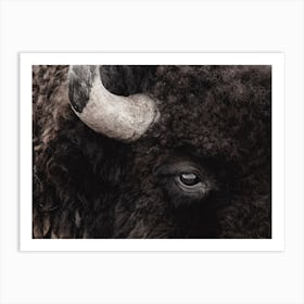 Bison Profile Art Print