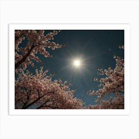 Cherry Blossoms 1 Art Print