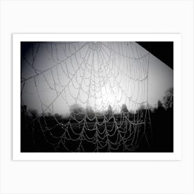 Spider Web black and White Moody Art Print