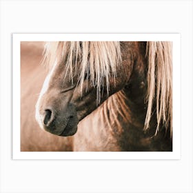 Rustic Beige Horse Art Print