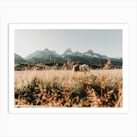 Montana Horse In Field Art Print