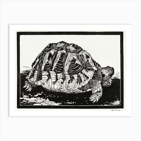 Turtle, Julie De Graag Art Print