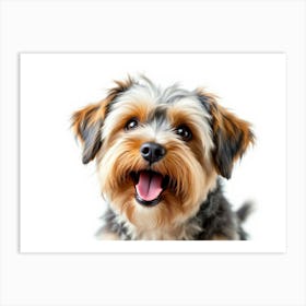 Yorkshire Terrier Póster