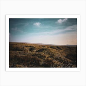 Dartmoor field Art Print