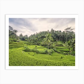 Bali Landscape Art Print