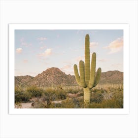 Saguaro Desert Art Print