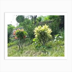 Garden 10 By Binod Dawadi Art Print