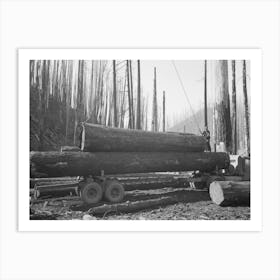 Loading Logs Onto Truck For Transportation To Mill, Gyppo Logging Operations, Tillamook County, Oregon Art Print