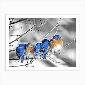 Bluebirds On A Branch Art Print