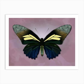 Mechanical Butterfly The Battus Crassus On A Pink Background Art Print