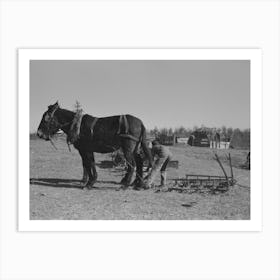 Untitled Photo, Possibly Related To Son Of Pomp Hall, Tenant Farmer, Going To Work The Field With A Spike Tooth Harrow Art Print