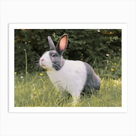 Easter Bunny Rabbit Art Print