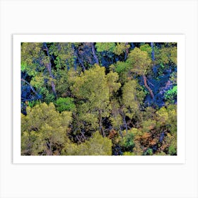 Aerial View Of A Forest 202308311700112rt1pub Art Print