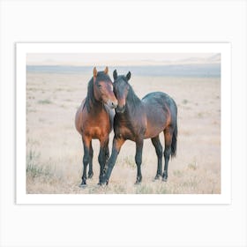 Two Wild Horses Art Print