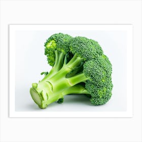 Close Up Of Broccoli 2 Art Print