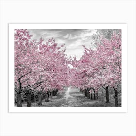Charming Cherry Blossom Alley Art Print