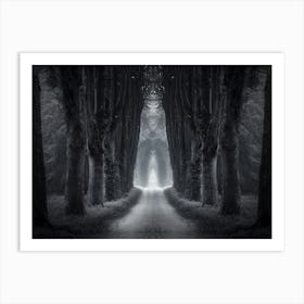 Dark Forest Path Art Print