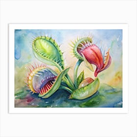 Carnivorous Plants Art Print