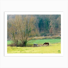 Horses Grazing In A Field 20220102 232ppub Art Print