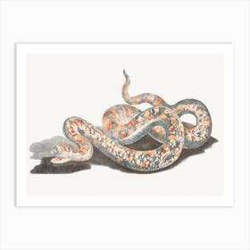 A Snake, Johan Teyler Art Print