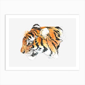 Tiger Art Print