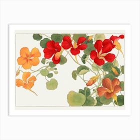 Nasturtiums Art Print