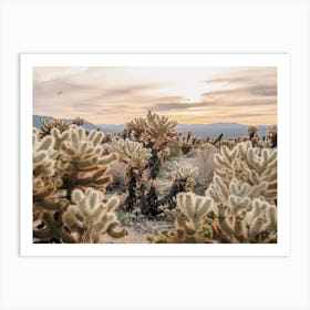 Cholla Cactus Desert Art Print