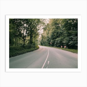 Road In The Woods Art Print